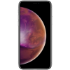 iPhone XS/X